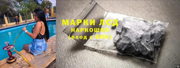 шишки Няндома