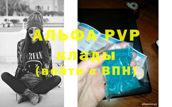 spice Гвардейск