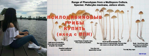 mdpv Осинники