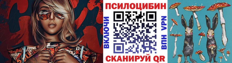 Псилоцибиновые грибы Cubensis Берёзовский